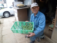 P1180098.JPG