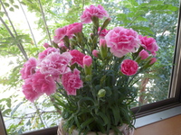 P1180655.JPG