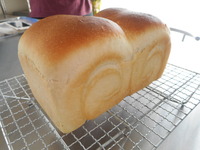 DSCN1455.JPG