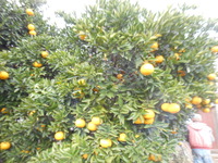 DSCN1935.JPG