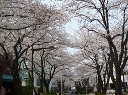 P1080225.JPG