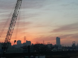 IMG_20190220_062103.jpg