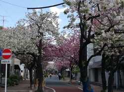 IMG_20190418_112835.jpg