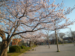 P1150538.JPG