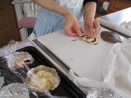 IMG_1164.JPG