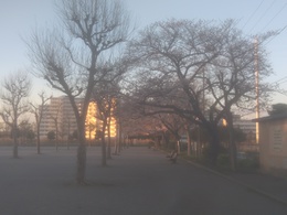 北公園２.jpg